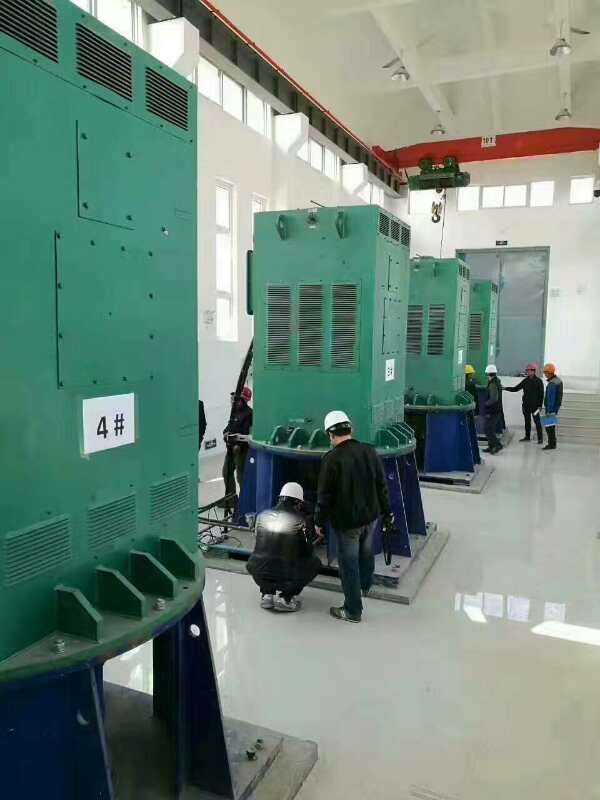 禹城某污水处理厂使用我厂的立式高压电机安装现场